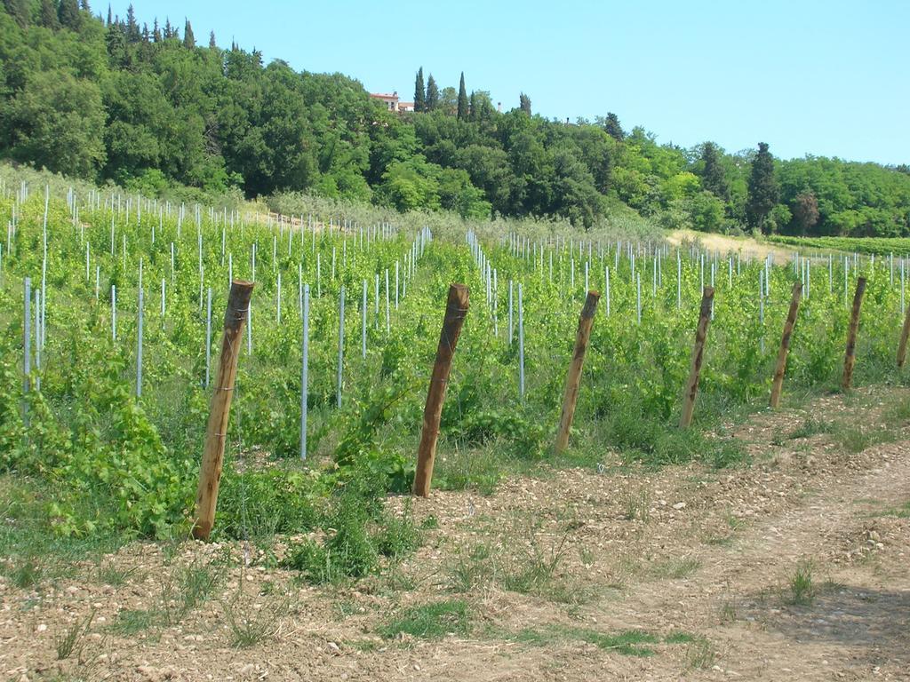 Podere Ghiole Montespertoli Exterior foto